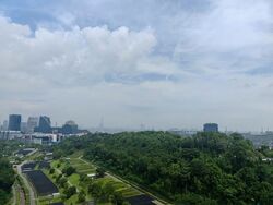Normanton Park (D5), Apartment #594643311